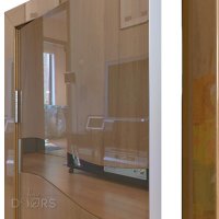 Дверь межкомнатная DO-503 Анегри темный/зеркало Бронза