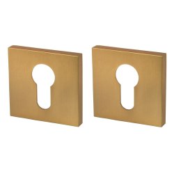 Накладка Armadillo (Армадилло) под цилиндр ET.K.USS52 (ET USS) FSG-39 флорентийское золото