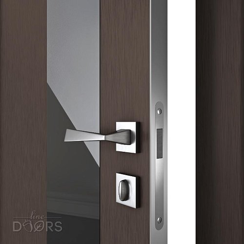 Дверь межкомнатная DO-504 Бронза/стекло Черное