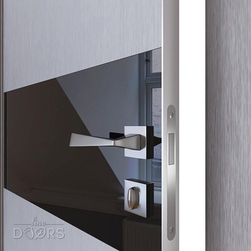 Дверь межкомнатная DO-501 Металлик/стекло Черное