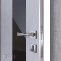 Дверь межкомнатная DO-504 Металлик/стекло Черное