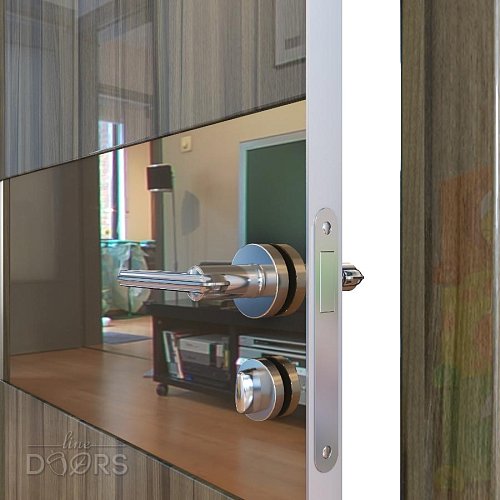 Дверь межкомнатная DO-501 Сосна глянец/зеркало Бронза