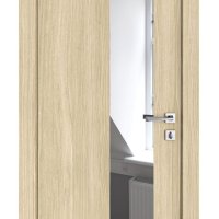 Дверь межкомнатная DO-504 Дуб светлый/Зеркало