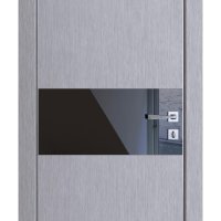 Дверь межкомнатная DO-501 Металлик/стекло Черное