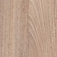 7172 Вяз Палермо темный