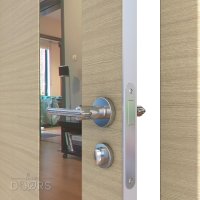 Дверь межкомнатная DO-504 Неаполь/зеркало Бронза