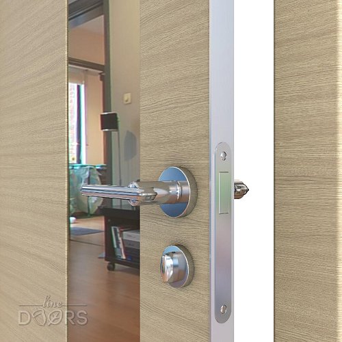 Дверь межкомнатная DO-504 Неаполь/зеркало Бронза