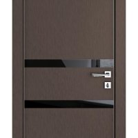 Дверь межкомнатная DO-513 Бронза/стекло Черное