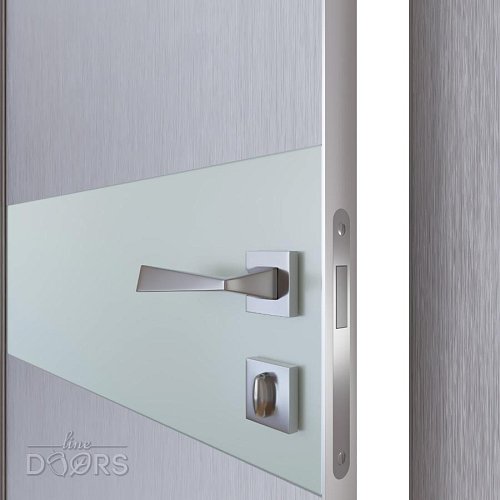 Дверь межкомнатная DO-509 Металлик/Снег