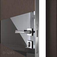 Дверь межкомнатная DO-501 Бронза/стекло Черное