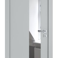 ШИ дверь DO-604 Силк маус/Зеркало