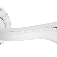 Дверная ручка V65WG