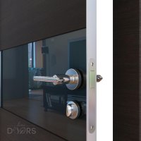 ШИ дверь DO-601 Венге горизонтальный/стекло Черное