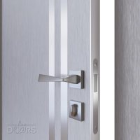 ШИ дверь DG-606 Металлик