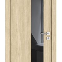 ШИ дверь DO-604 Дуб светлый/стекло Черное