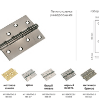 Петля стальная универсальная MS 100X70X2.5-4BB PG