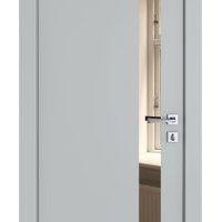 Дверь межкомнатная DO-507 Силк маус/зеркало Бронза