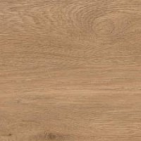 3259 French Oak