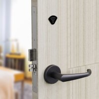 Электронный гостиничный онлайн замок HSU-9905BT-PG