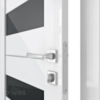 Дверь межкомнатная DO-TRIS Белый глянец/Черное