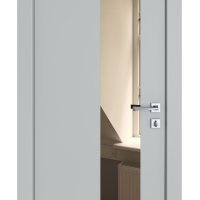 ШИ дверь DO-604 Силк маус/зеркало Бронза