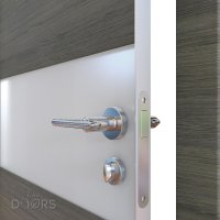 Дверь межкомнатная DO-501 Ольха темная/Снег