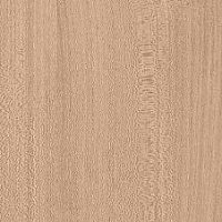 7173 Вяз Эланд