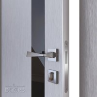 ШИ дверь DO-607 Металлик/стекло Черное