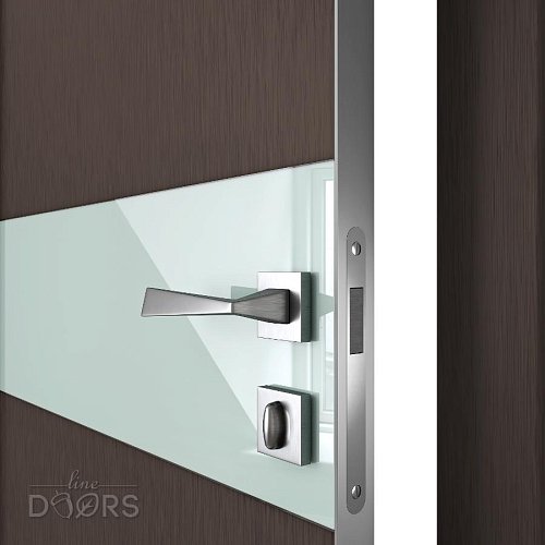 Дверь межкомнатная DO-509 Бронза/стекло Белое